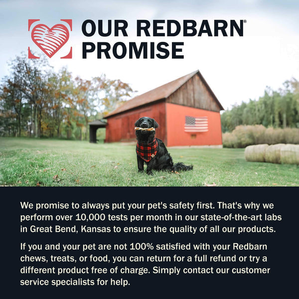 Redbarn Pet Products Dur-A-Bulls Braid Dog Treats