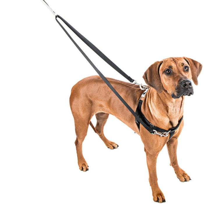Royal Freedom No-Pull Dog Harness