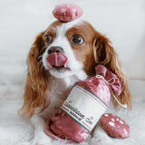 Saucisson