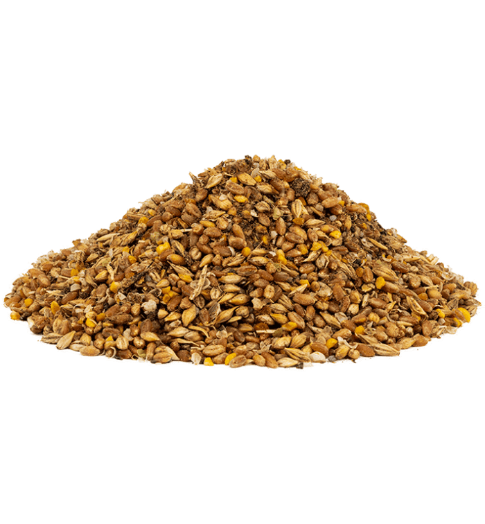 Scratch and Peck Feeds Organic Layer Feed 16% Protein + Corn For Chickens & Ducks
