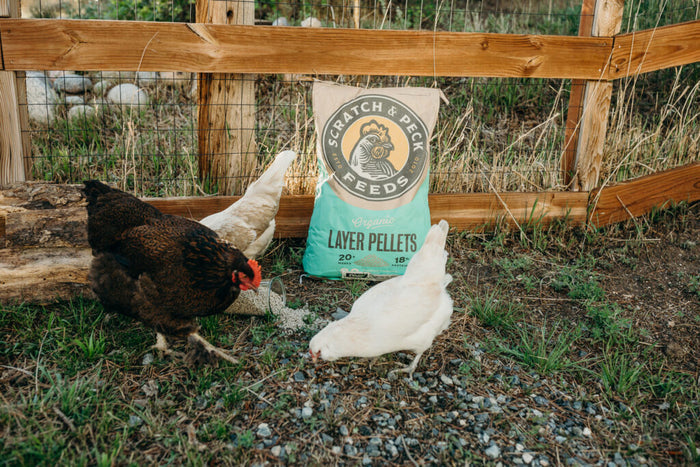 Scratch and Peck Feeds Organic Layer Pellets 18%