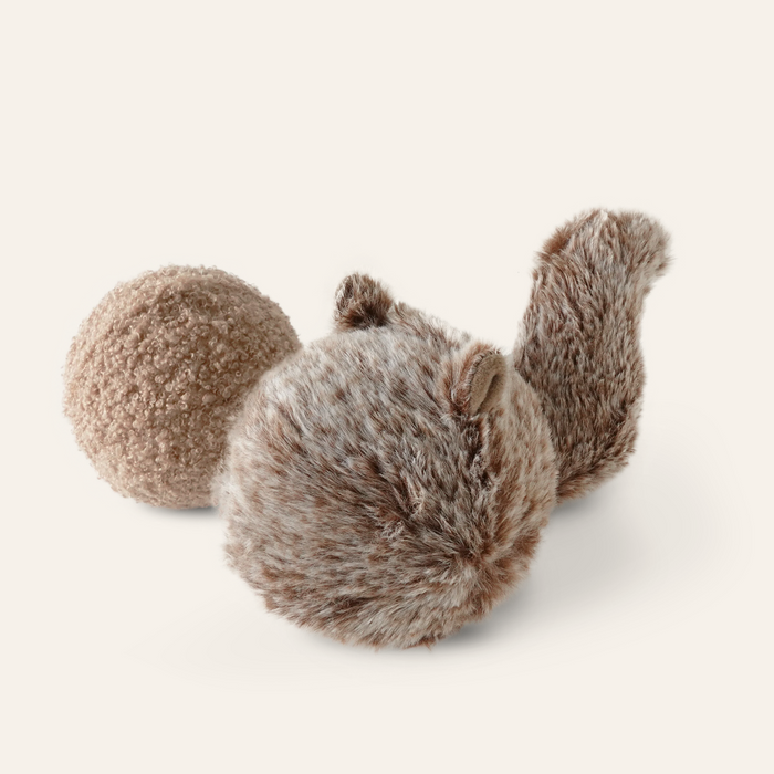 Squirrel Pop