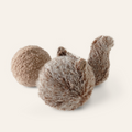 Squirrel Pop