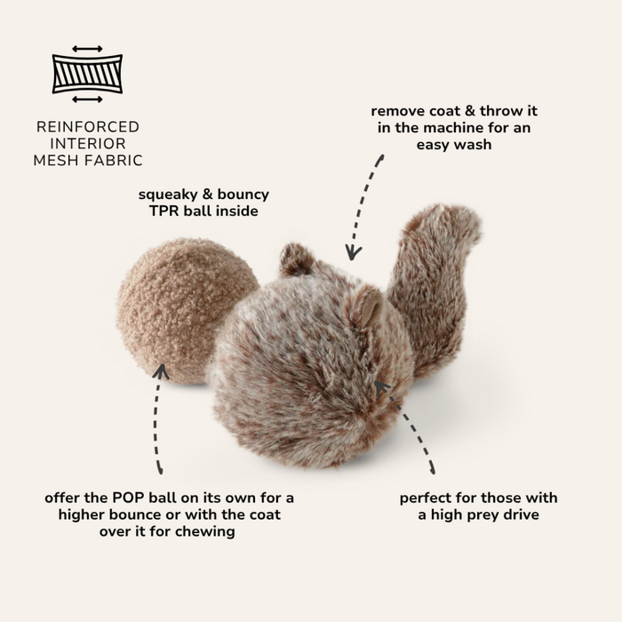 Squirrel Pop