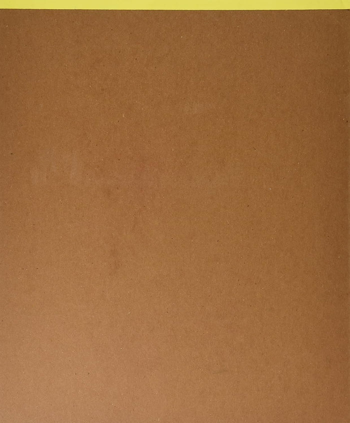 Strathmore 300 Series Bristol Paper Pad