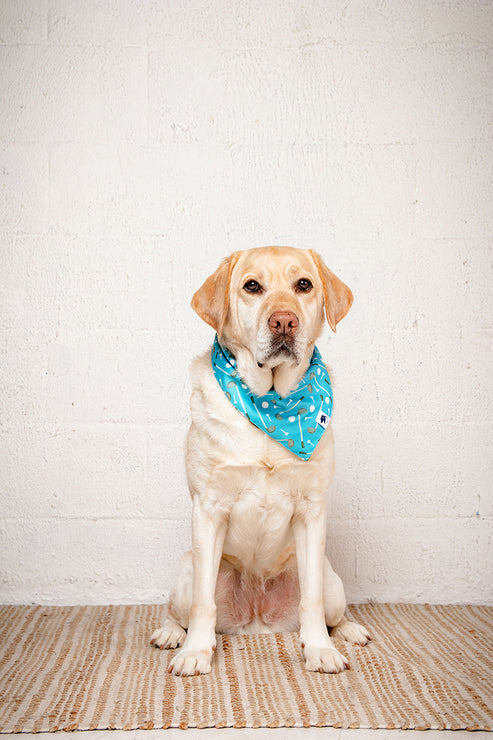 Tee Time Dog Bandana