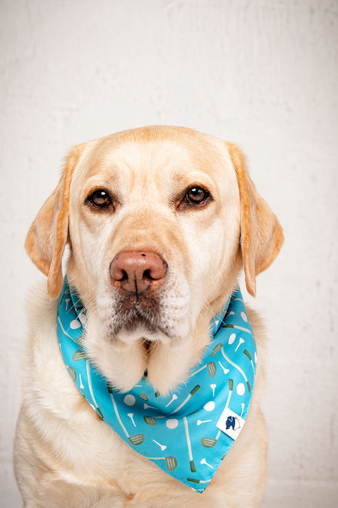 Tee Time Dog Bandana