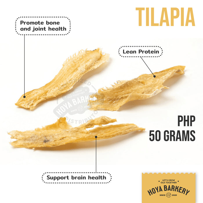 Tilapia Strips