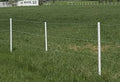 Timeless T Post 6' x 1.33" round DNR