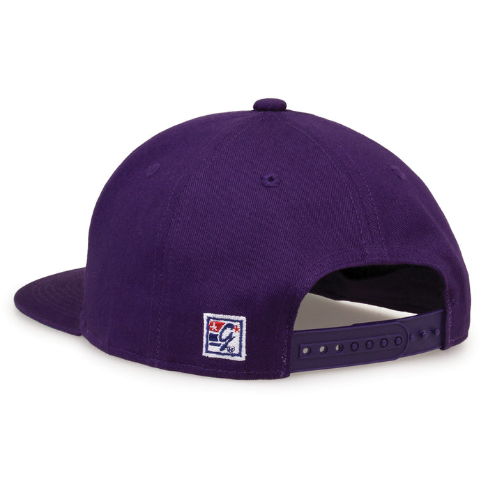 Washington Retro Bar snapback hat in purple, rear view showing the adjustable snap closure