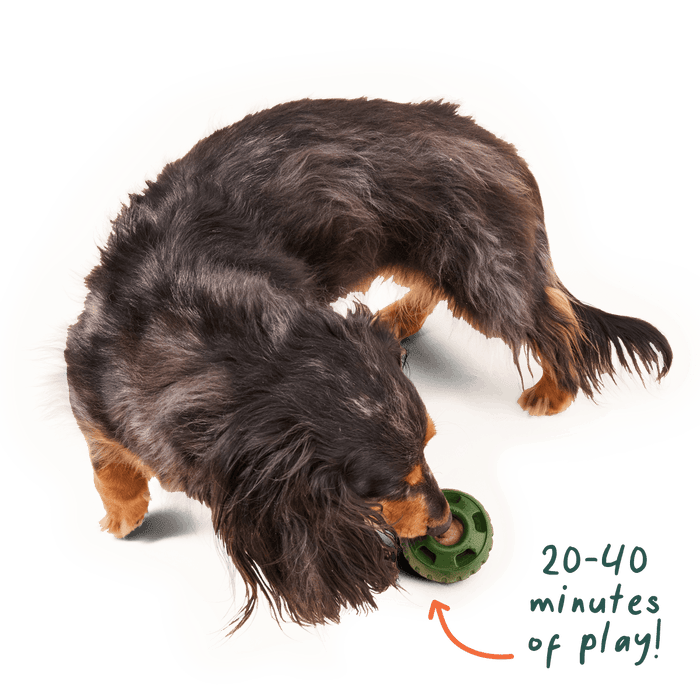Woof Calming Vitamin Pops Dog Treats