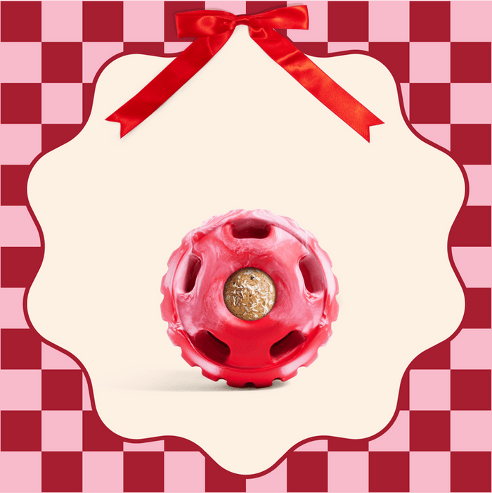 Woof The Pupsicle Dog Toy