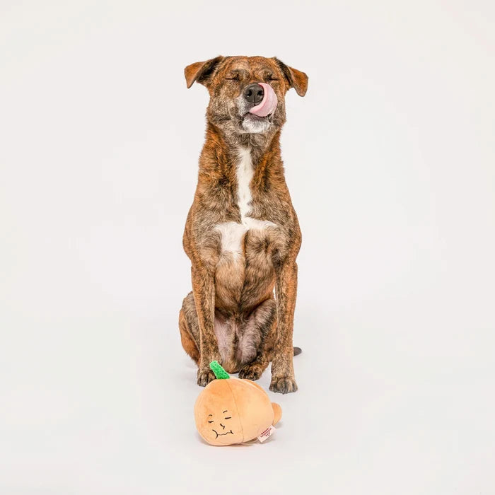 Yellow Onion Nosework Toy