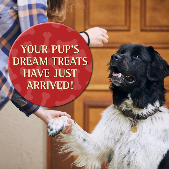 Zignature Lamb Soft Moist Treats for Dogs